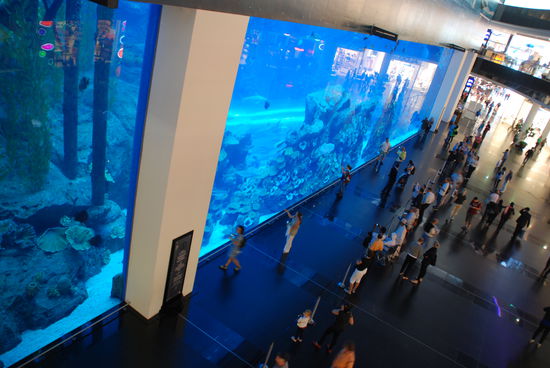 Dubai Mall mit Aquarium!