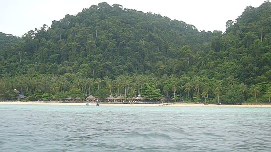 unsere Anlage bei der Anfahrt - CoCo Cortage