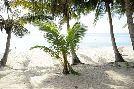 ...Bungalow beachfront