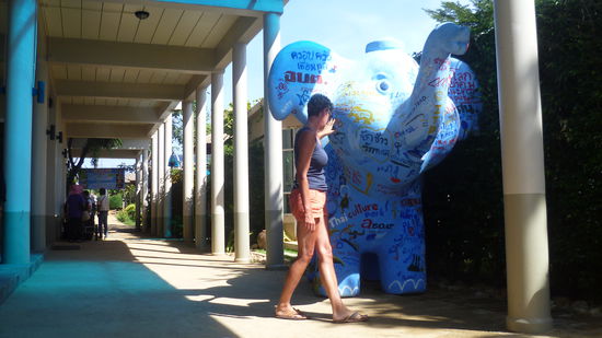 der beruehmte Ko Mak Elefant, davon gibt es noch welche unter Wasser!
