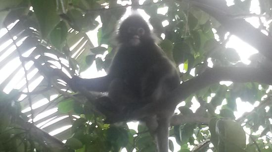 ... der kleine "Kahn"! klaut gerne Handtücher  aber sonst ganz lieb!