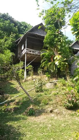 Unser Bungalow, einfach aber schön, Preis 1300 Bath pro Nacht!  Weniger währen auch OK!