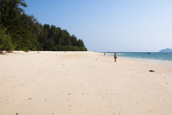 Ebbe - bei Flut geht das Wasser bis an die Bäume - Baden immer möglich!