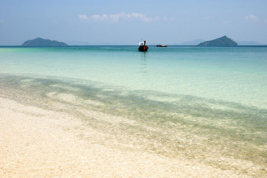 Jungfisch - Schwärme am Strand