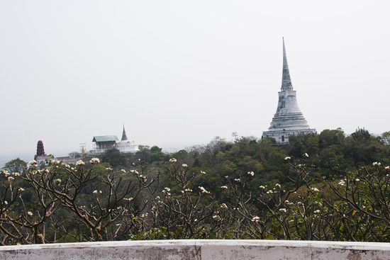 Wat Maha Samanaram und über tausend Frangipani-Bäume