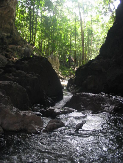 aus einer großen, offenen Höhle heraus