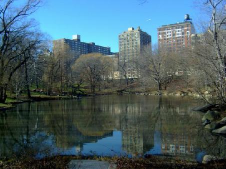 Central Park