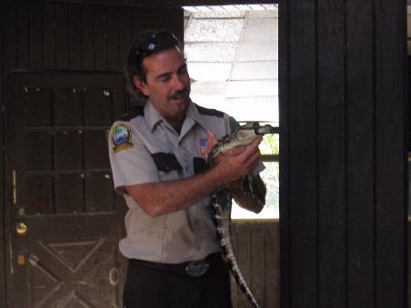 Baby Crocodile - auch mal was für die Touristen zum Kuscheln