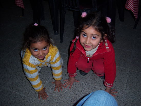 die beiden Schnecken 