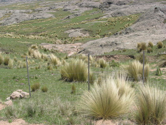 im Parque Nacional Quebrada del Condorito