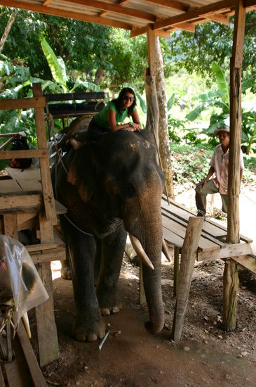 Nach der langen Dschungelwanderung am Vortag ging es dann am naechsten Tag per Dschungeltaxi weiter... 
