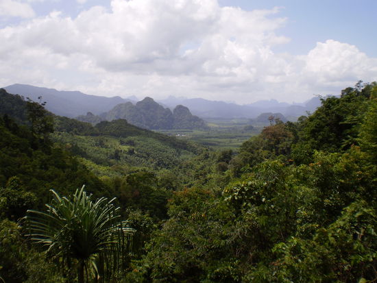Aussichtspunkt im Khao Sok Nationalpark