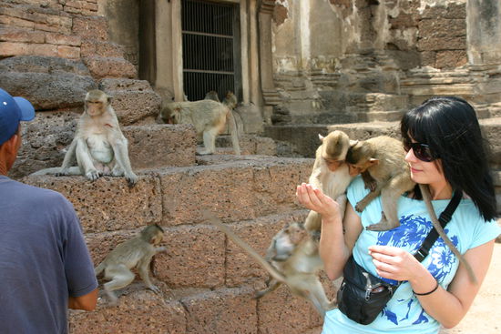 Lopburi und die Affen