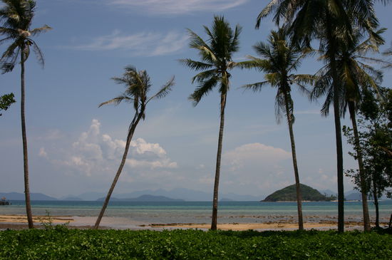 unser Strand bei Ebbe