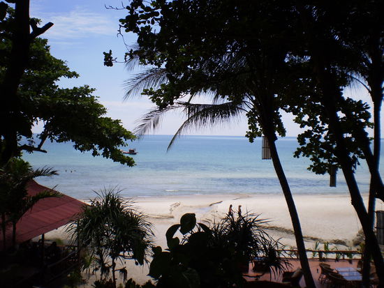 Unser neuer Ausblick von unserer Huette in ein paar Tagen