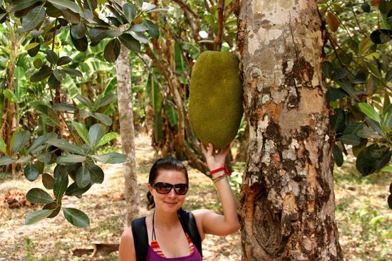 Dies ist eine Jack Fruit...sieht gut aus...schmeckt aber eklig! 