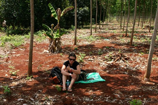 Unterschlupf unter den Bäumen während wir die Buspanne hatten...