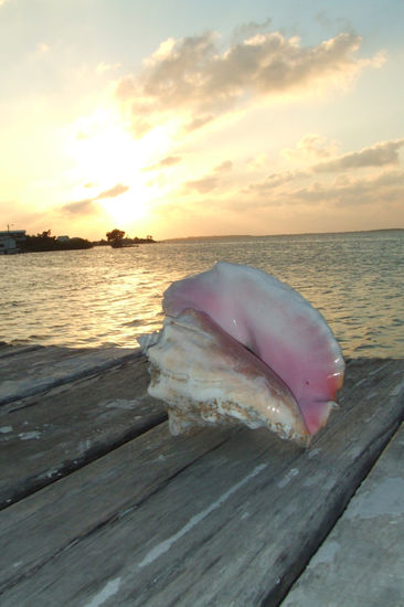 Sonnteruntergang auf Ambergis Caye