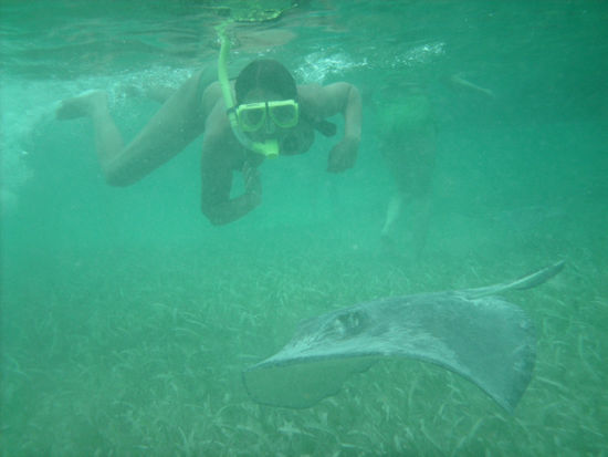 Biggi taucht mit den sting rays...