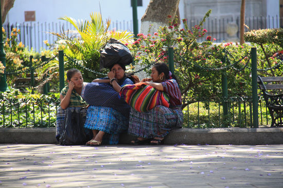 Typisches Bild in Antigua.