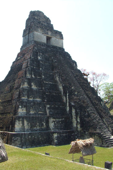 Tempel IV in Tikal