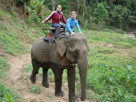 der arme Elefant (Elefandriding waehrend unsrer Trekkingtour)