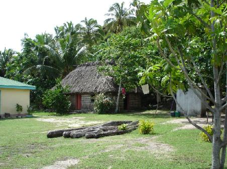 typische Fiji-Bure
