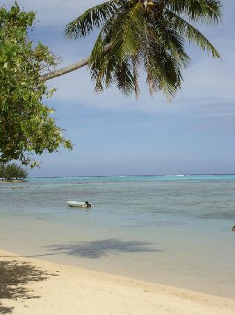 und nochmal palmen, strand und Mee(h)r
