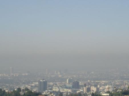 Smog..LA live