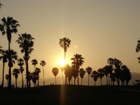 Venice Beach!