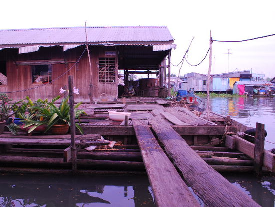 Schwimmende Fischfarm, Pangasius fuer Europa