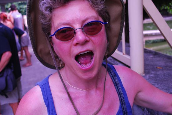 ...zum Fressen gern?