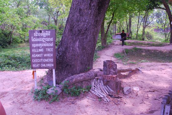 Knochenreste auf dem Gelände
