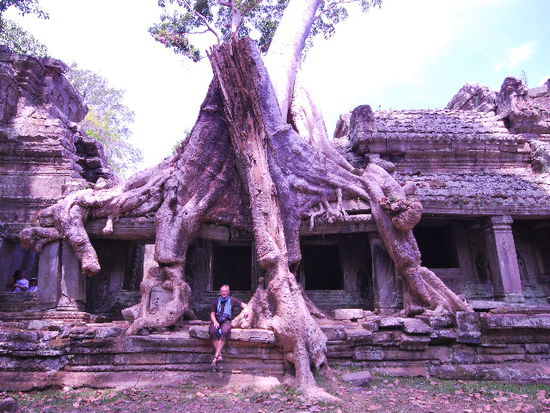Preah Khgan Dschungeltempel