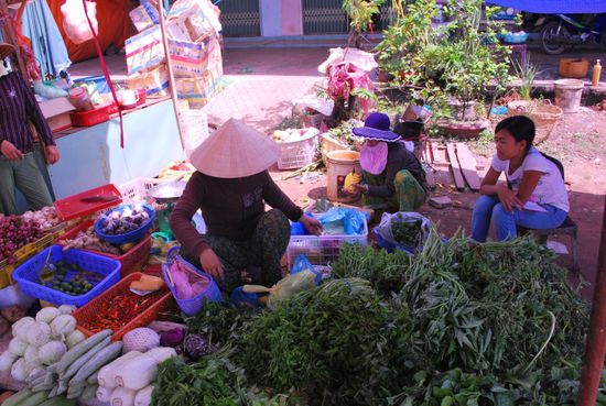 Und da wird gerade unsere Ananas geschnitten
