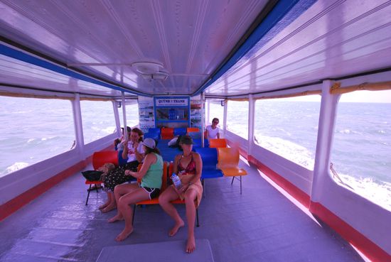 Die australischen "Hühner"