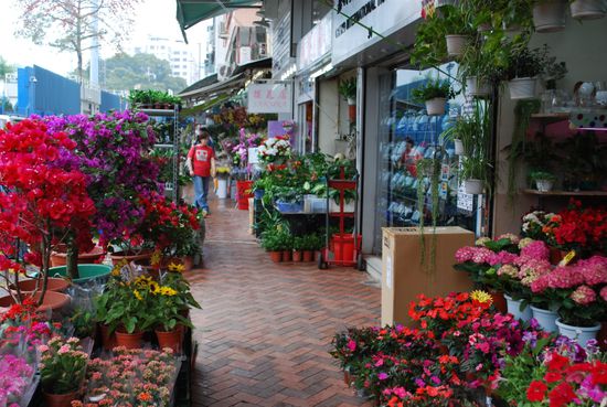 Blumenmarkt in Kowloon