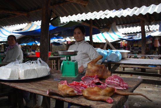Der Markt in Mai Chau bietet alles!
Hund...