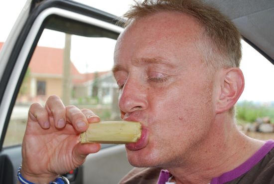 Ich kaue lieber friedlich Zuckerrohr.