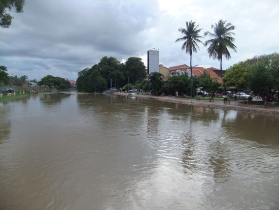 Schwimmen oder fliegen???