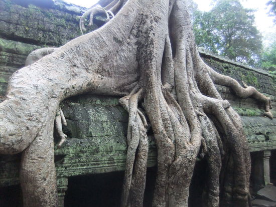 Ta Prohm