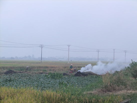 Hinten sieht man den Smog, vorn das, was ihn erzeugt