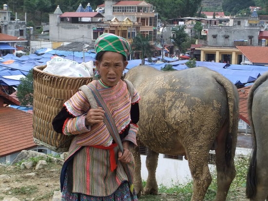 Den Korb auf dem Ruecken dieser Frau sieht man rundum Sapa als allgemein gebraeuchliches Transportmittel