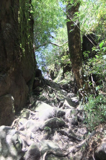So sahen viele Wege auf dem Weg nach oben aus