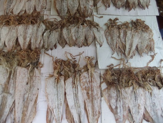 Getrockneter Squid