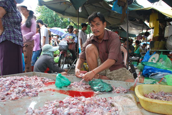 Dieser nette Mann ist damit beschaeftigt, Froesche um die Ecke zu bringen