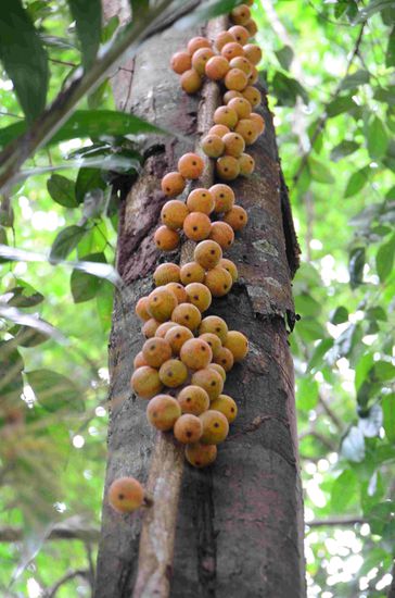 Wer weiß was das ist??? Wir haben es nicht herausgefunden.