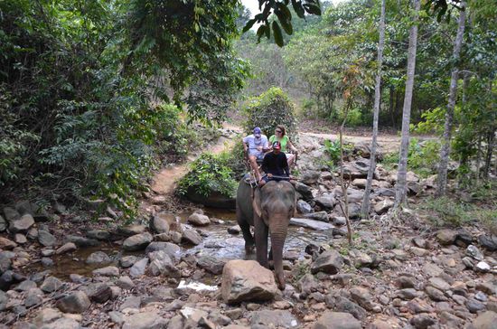 Ausritt mit dem Elefanten, hier findet ihr ein kleines Video zum 
Elefantenbad