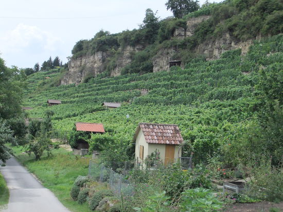 Weinlagen entlang des Neckars