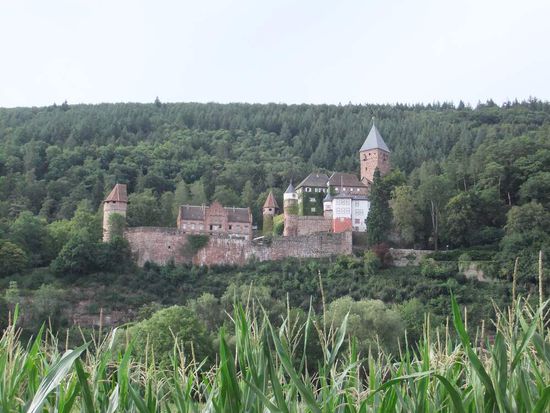 Schloss Zwingenberg